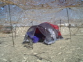DSC01484.JPG