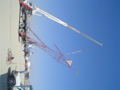 DSC01485.JPG