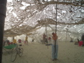 DSC01613.JPG