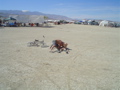 DSC01686.JPG
