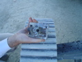 DSC01694.JPG