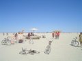 DSC01708.JPG
