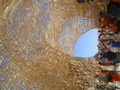 DSC01720.JPG