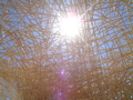 DSC01722.JPG