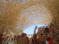 DSC01723.JPG