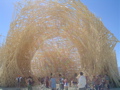 DSC01730.JPG