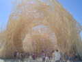 DSC01731.JPG