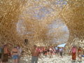 DSC01732.JPG