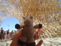 DSC01740.JPG