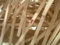 DSC01743.JPG