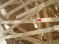 DSC01744.JPG