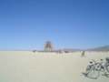 DSC01749.JPG