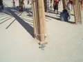 DSC01754.JPG