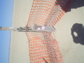 DSC01759.JPG