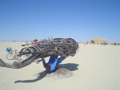 DSC01769.JPG