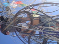 DSC01779.JPG