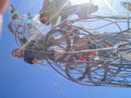 DSC01780.JPG