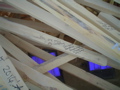 DSC01792.JPG