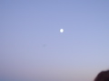 DSC01805.JPG