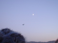 DSC01806.JPG