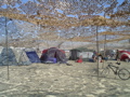 DSC01507.JPG