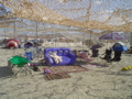 DSC01508.JPG