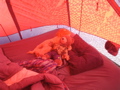 DSC01512.JPG