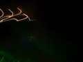 DSC01920.JPG