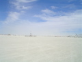 DSC01517.JPG