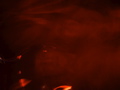 DSC01935.JPG