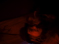 DSC01940.JPG