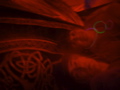 DSC01948.JPG