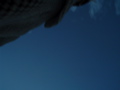 DSC01965.JPG
