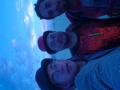 DSC01970.JPG