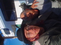 DSC01985.JPG