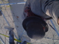 DSC02002.JPG