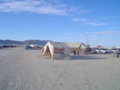 DSC02014.JPG