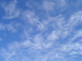 DSC02030.JPG