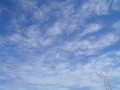 DSC02031.JPG