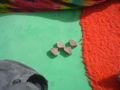 DSC02054.JPG