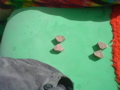 DSC02055.JPG