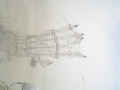 DSC02059.JPG