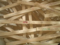 DSC02068.JPG