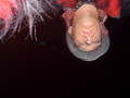 DSC02115.JPG
