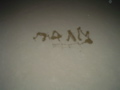 DSC02117.JPG