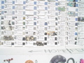 DSC01541.JPG