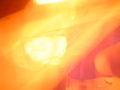 DSC02169.JPG