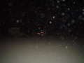 DSC02181.JPG