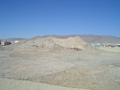 DSC02196.JPG