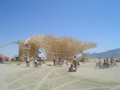 DSC01491.JPG